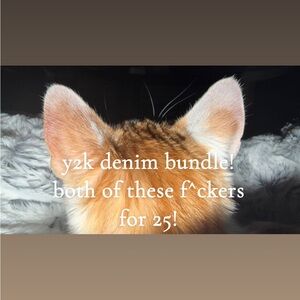 Y2K Denim bundle